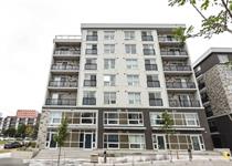 275 Larch Street - 1